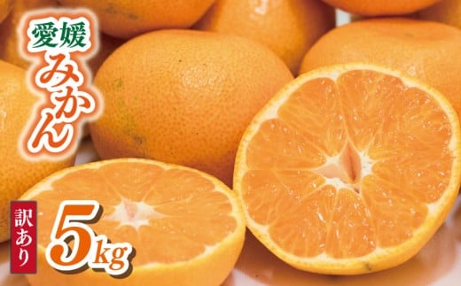 【順次発送中】 訳あり 愛媛みかん  約5kg | えひめみかん 愛媛のみかん 温州みかん みかん 温州ミカン 柑橘 果物 蜜柑 えひめのみかん くだもの フルーツ みかん ミカン mikan mican 不揃い 傷 ワケアリ 訳アリ 愛媛県 松山市