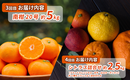シトラス フルーツ ＆ ジュース 6回 定期便 コルレオファーム 極早生 宮川早生 南柑20号 ブラッドオレンジ モロ 甘平 はるか ポンカン タロッコ せとか 清見 不知火 シトラスジュース 720