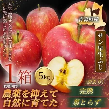 【青森直送 季節の味覚をお届け】サン早生ふじ 5kg×1箱(訳あり)2026年産 産地直 限定生産【配送不可地域：離島】【1700981】