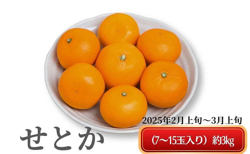 《とろける美味》 せとか 約3kg 甘い みかん （ お取り寄せ おすすめ 美味しい せとかみかん せとかふるさと納税 季節限定 柑橘 蜜柑 かんきつ フルーツ 青果 果物 くだもの 贈り物 特産品 ）