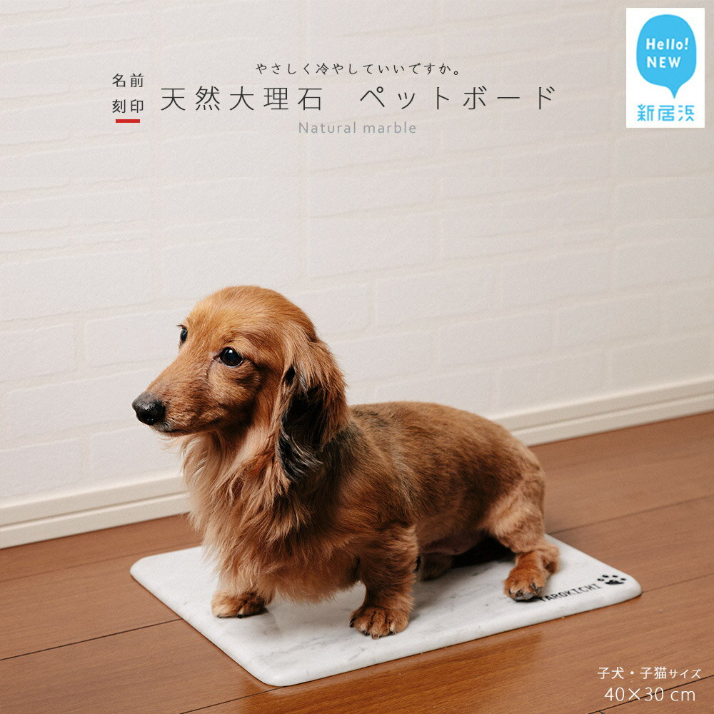 【ふるさと納税】 ペットボード ひんやり 天然大理石 【 名入れ 彫刻あり】 1枚 40x30cm 子犬 子猫 暑さ対策 快適 夏 ペット 犬 猫 インテリア おしゃれ 冷 涼しい ダイニング ギフト 贈り物 プレゼント 記念 衛生的 耐久性 高級感 汎用 ペットを愛する石職人こだわりの逸品