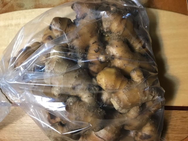 【先行受付】自然農 ひね生姜１kg（洗いショウガ）親生姜 皮まで食べられる 甘酢漬け ガリ 農薬肥料不使用【R00249】