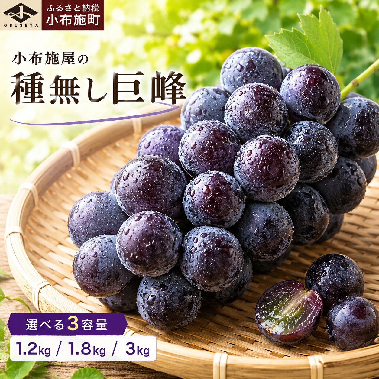 【ふるさと納税】種無し巨峰 約1.2kg 約1.8kg 約3kg 選べる内容量 ［小布施屋］ 種なし 果物 フルーツ ぶどう 葡萄 種無し 種なし クール便 冷蔵便 先行予約 数量限定 長野県産 信州産 デザート 令和8年産 【2026年9月上旬～10月発送】