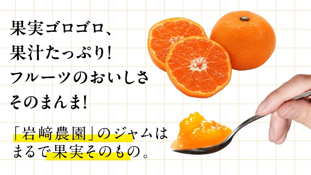 果肉たっぷり！フレッシュな無添加ジャム