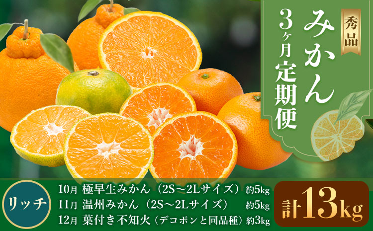 秀品 みかん 3ヶ月定期便 【リッチ：計13kg】 日本フルーツ株式会社《2026年10月上旬-12月末頃出荷》熊本県 長洲町 極早生みかん 温州みかん 葉付き 不知火 果物 フルーツ スイーツ デザート ギフト ご贈答---sn_nfuktei_33000_rich_aug3---