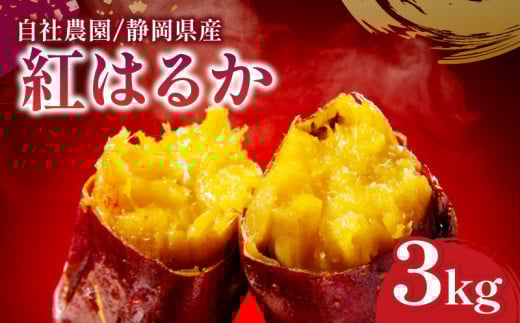 【紅はるか】 3kg  さつまいも  紅はるか 芋 国産  静岡県産 牧之原市 家庭用 秋の味覚 高糖度 しっとり 濃厚 甘い  焼き芋 スイートポテト 干し芋 おやつ こども 秋 おいしい いも イモ 芋 サツマイモ 大学いも お菓子 野菜 やさい デザート 紅 はるか おすすめ オススメ 美味しい 美味い あまい 糖度 焼芋 やきいも さつま芋 大学芋 ヤキイモ ほしいも おかし ヤマウメ