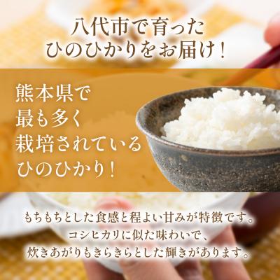 ふるさと納税 八代市 《令和7年産》 ヒノヒカリ 5kg×2袋 合計10kg  熊本県 八代市産_274-6647 |  | 01