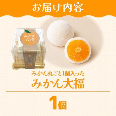 ふるさと納税 名取市 和菓子 甘仙堂 みかん丸ごと1個入った みかん大福 1個|21_ksd-090101 |  | 01