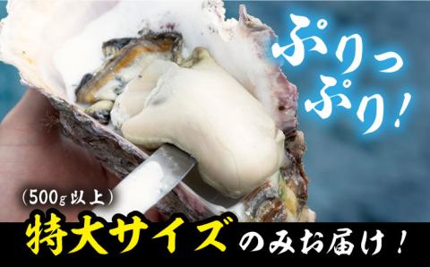 壱岐産 黄金岩牡蠣 5kg [JEV001] カキ 岩ガキ 岩がき 海鮮 貝 魚貝 BBQ  38000 38000円