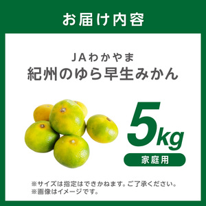 JAわかやま 紀州のゆら早生みかん（家庭用）5kg【1306】