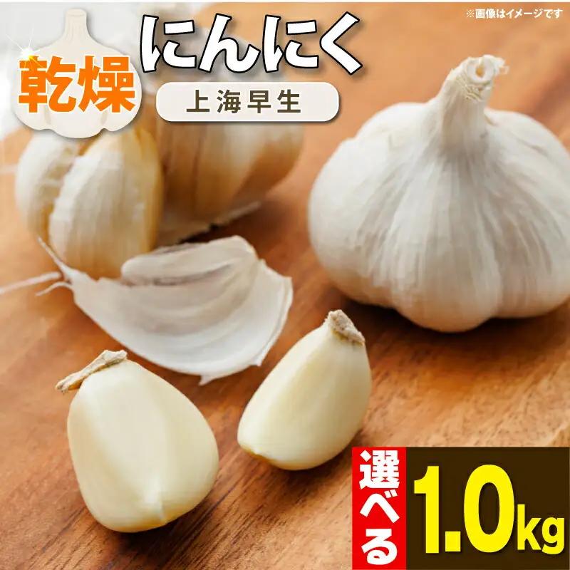 にんにく 乾燥 国産 1kg 【先行予約】保存食 乾燥にんにく