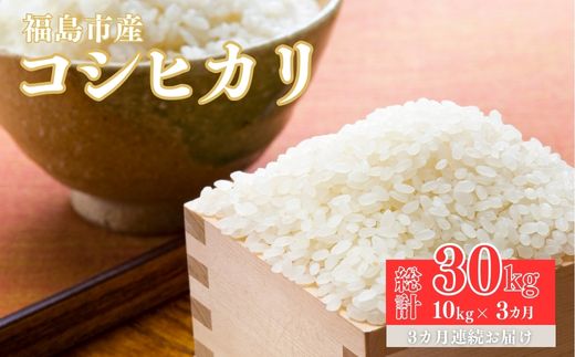 No.1497【令和6年産】大文字屋米穀店【定期便3回】コシヒカリ 10kg（5kg×2）精米 （3か月連続お届け）