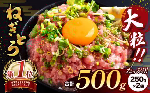 清幸丸水産 大人気！ねぎとろ500g（250g×2袋）