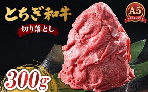 とちぎ和牛 A5 切り落とし 300g【栃木県共通返礼品・栃木県産】｜とちぎ和牛切り落とし国産 とちぎ和牛切り落とし和牛 和牛 栃木県産牛肉 栃木県産肉 和牛肉 切り落し 切落し きりおとし キリオトシ 和牛 国産 牛肉 肉 栃木県産 国産牛肉 切り落とし肉 牛肉切り落とし