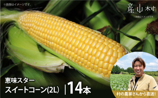 《先行予約！》採れたてスイートコーン 恵味スター 2L・14本セット とうもろこし　熊本県　産山村　阿蘇《2025年7月中旬-8月中旬出荷》 ---ubuyama_ibn_6_14p---