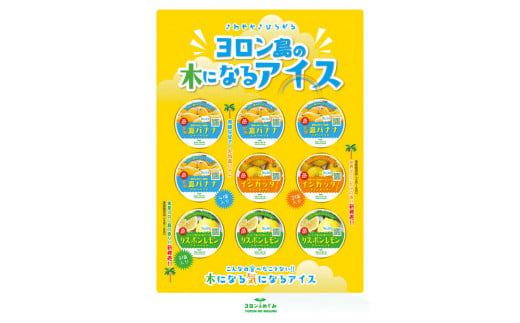 ヨロン島の木になるアイス(Aセット:リスボンレモン・イシカッタ・島バナナ)