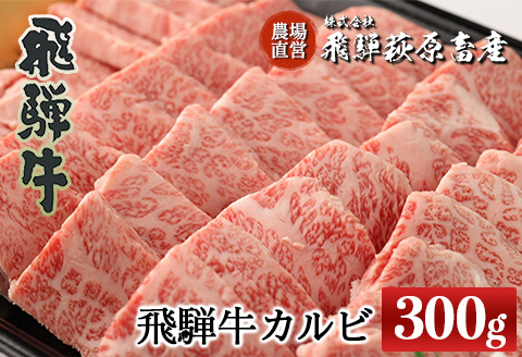 【冷凍】飛騨牛カルビ  300g 牛肉 国産 ブランド牛【22-3】