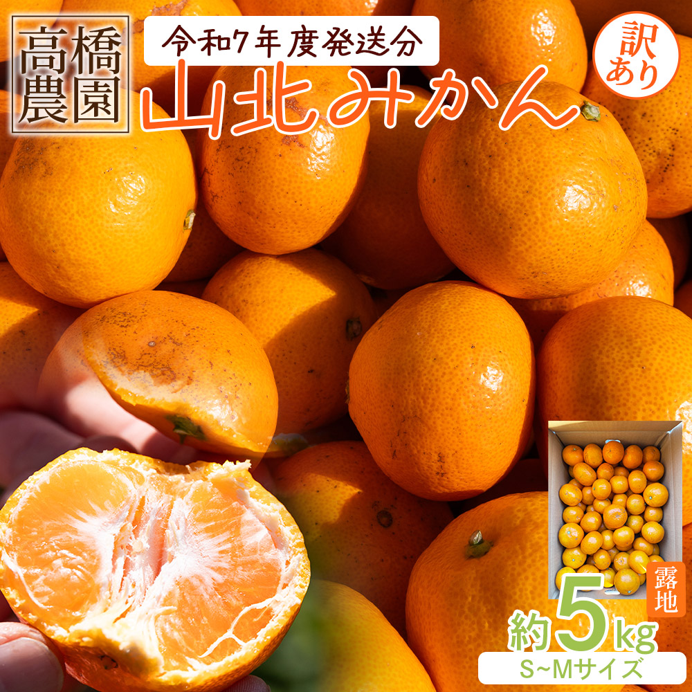 高橋農園【訳あり】山北みかん 露地(Ｓ～Ｍ)Ｂ品 5kg - 果物 フルーツ ミカン 蜜柑 柑橘 家庭用 自宅用 新鮮 農家直送 露地 高知県 香南市 th-0019