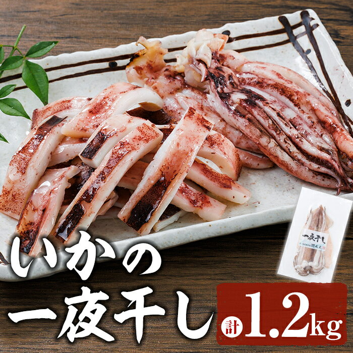 【ふるさと納税】いかの一夜干し (計1.2kg) 魚介 いか 烏賊 イカ 一夜干し 冷凍 おつまみ スルメイカ するめいか するめ 国産 【opar002】【磯武】
