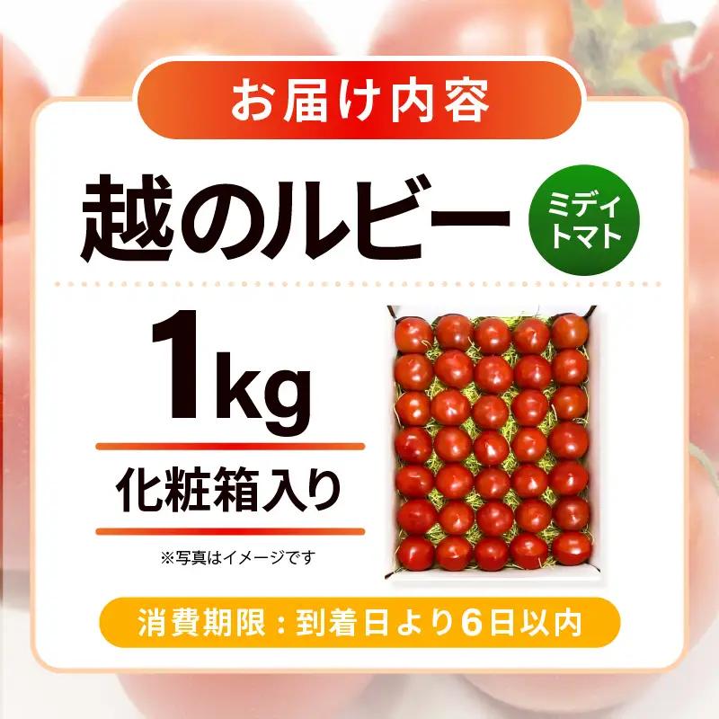 フルーツトマト 越のルビー 1kg 化粧箱入り 2026年10月上旬以降順次発送 とまと 野菜 [A-19104]