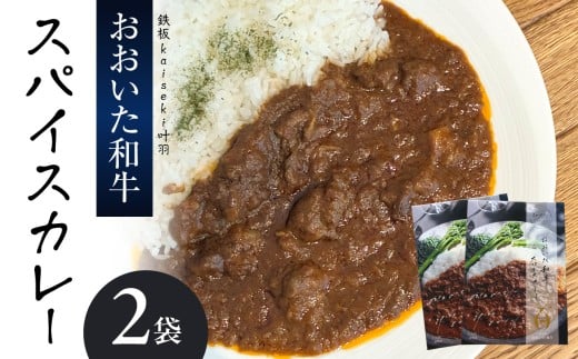 おおいた和牛 スパイスカレー 2袋 レトルト レンジ レンチン 湯煎 食事 おおいた和牛 国産 スパイシー 牛肉 牛すじ肉 牛スープ プレゼント 贈答 荒木美樹 K03037