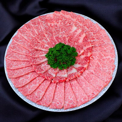 【ふるさと納税】【飛騨牛】白銀焼肉用1kg【配送不可地域：離島】【1766798】