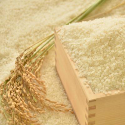 ふるさと納税 いすみ市 【令和7年産米】　千葉県いすみ市産　コシヒカリ精米10kg(5kg×2袋) |  | 03