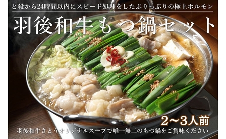 羽後和牛もつ鍋セット2～3人前 しょうゆ味 鍋物 グルメ 新鮮ホルモン 夕飯 集まり イベント 女子会 忘年会 新年会 鍋料理 