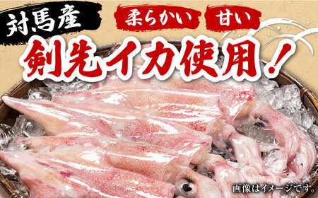 剣先いか の耳 3kg 《対馬市》【対馬地域商社】 シロイカ 新鮮 肉厚 海鮮 BBQ 天ぷら 魚介 おかず いか[WAC045] コダワリイカ・いか こだわりイカ・いか おすすめイカ・いか おススメ
