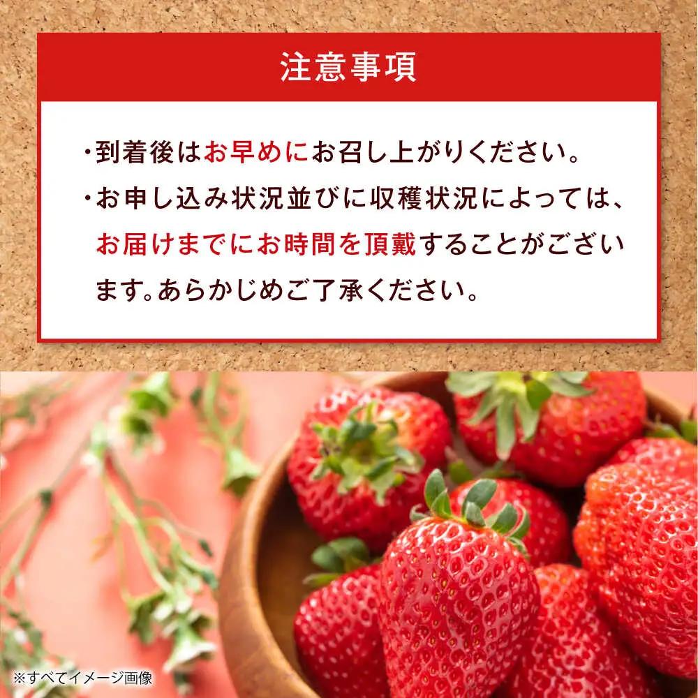 【いちご】いちご 約1kg [AGBN054]