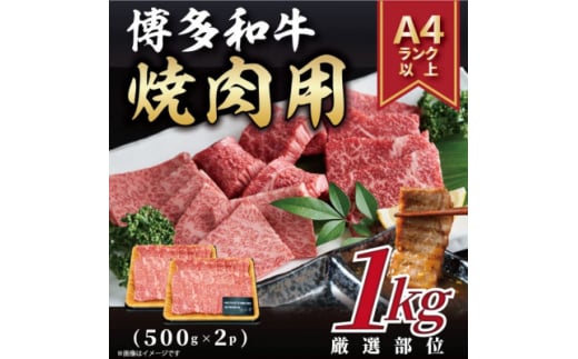 ＜A4～A5＞博多和牛焼肉用　1kg(500g×2p)(糸田町)【1524902】