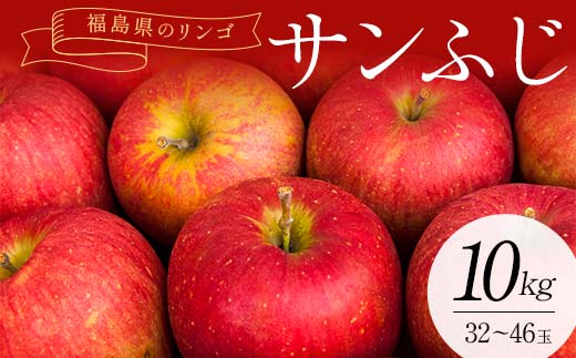 ＜訳あり家庭用りんご＞福島県のリンゴ　サンふじ約10kg(32～46玉) F7X-0015