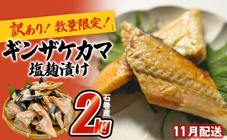 【数量限定】11月配送 訳あり ギンザケ カマ 塩麹漬け 石巻産 2kg 銀鮭 鮭カマ  さけカマ ギンザケカマ 銀鮭カマ 塩麹漬けカマ 鮭 漬魚 サーモン 鮭 焼き魚 魚 焼魚