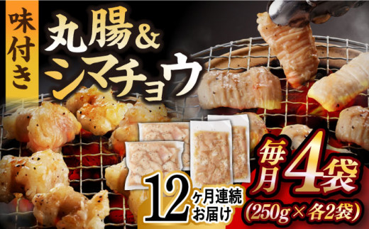 【全12回定期便】【塩だれ】九州産和牛 ホルモン 2種 計1kg（ シマチョウ 250g×2袋・ 丸腸 250g×2袋） 長与町/岩永ホルモン [EAX153] ホルモン焼き 国産 牛肉 ホルモン ミックス 小分け 味付き 冷凍 焼肉 焼き肉 和牛 塩 しお 牛 定期便 ていきびん 定期