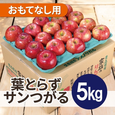 【26年9月から順次発送】平均糖度12度以上! 葉とらずサンつがる 約5kg おもてなし用 青森県産【配送不可地域：離島・沖縄県】
