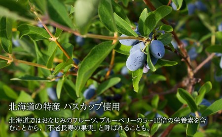 クッキー ジャム ハスカップ ホワイトチョコ 6個×2箱セット 新千歳空港限定《 北海道千歳市 もりもと》