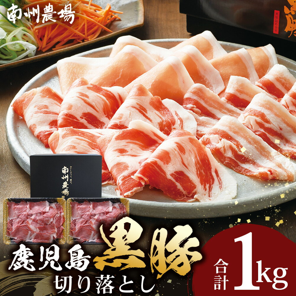 【ふるさと納税】鹿児島 黒豚 豚肉 切り落とし 1kg ( 500g×2 )