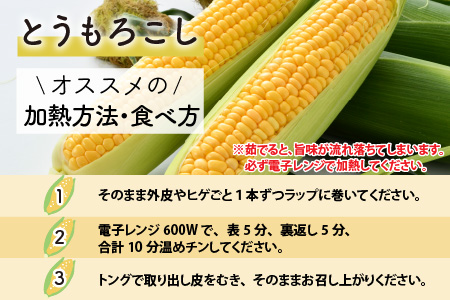 【先行予約】春とうもろこし 10本 おおもの 黄色 朝採り ／ 期間限定 数量限定 ハウス栽培 産地直送 甘い スイートコーン とうもろこし 野菜 あわら ※2024年6月上旬より順次発送