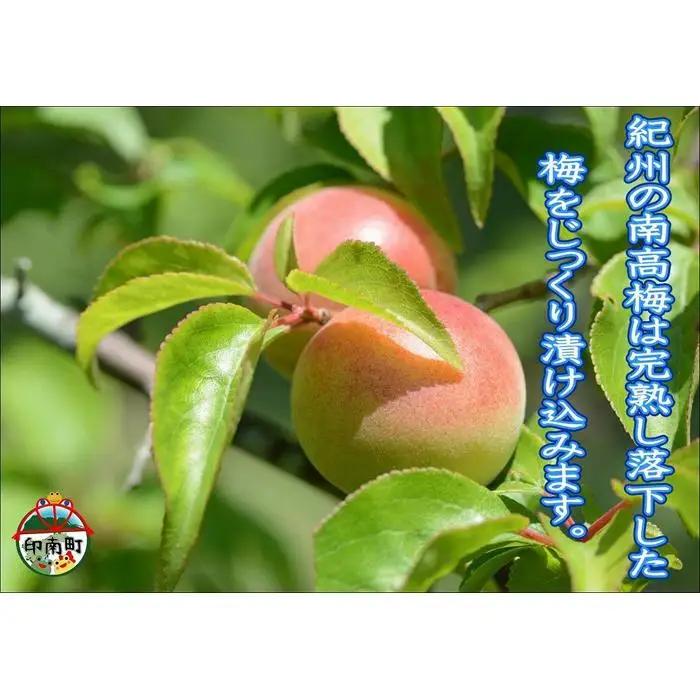 訳あり 【家庭用】紀州南高梅　白干梅　1.2kg