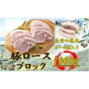 【ふるさと納税】オリーブ豚　ロースブロック1000g | 肉 お肉 にく 食品 香川県産 人気 おすすめ 送料無料 ギフト