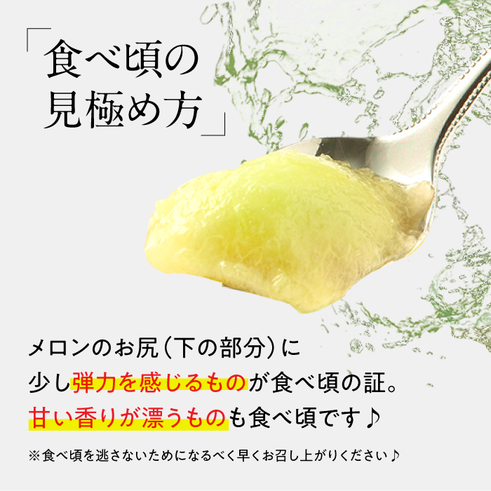 【2025年5月～発送】【さわやかな味!】訳あり タカミメロン 3箱セット（傷もの）/ メロン めろん フルーツ 果物 / 南島原市 / 南島原果物屋 [SCV027]_イメージ4