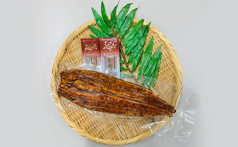 訳あり 国産 うなぎ 一般の約2倍 数量限定 蒲焼き 1本 250g 浜