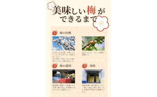 高評価梅干しメーカーより新登場！ 紀州南高梅 大粒 はちみつ梅干し 200g 塩分約7% ご家庭用 無選別 訳あり 訳アリ 梅 梅干 梅干し うめ ウメ 南高梅 はちみつ梅 はちみつ梅干 大粒 大容量