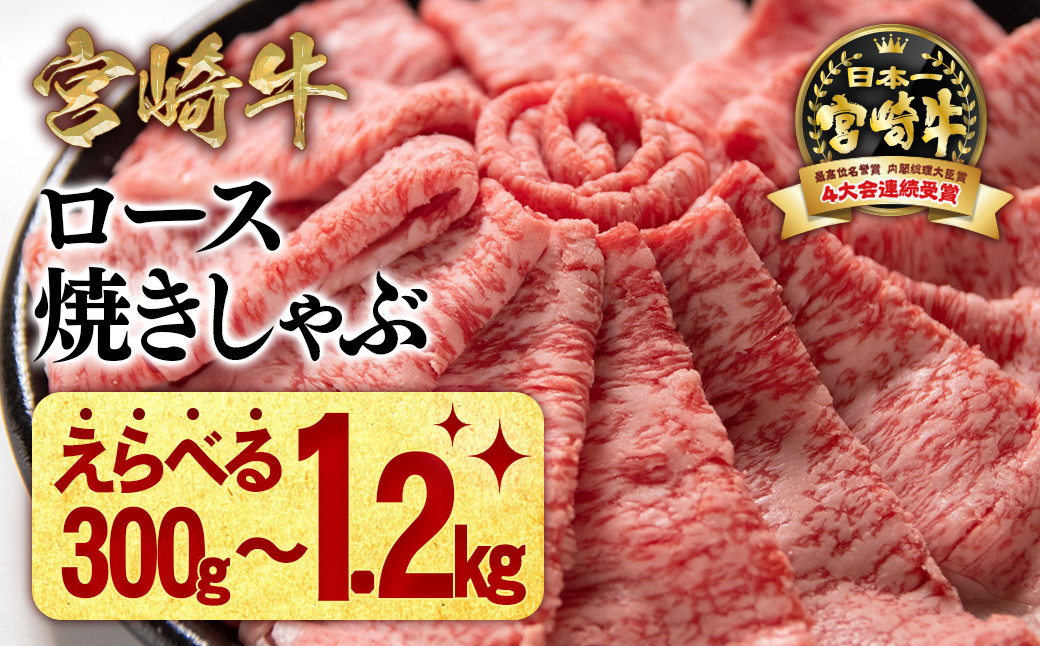 
            宮崎牛ローススライス＜ 選べる 300g～1200g ＞小分け 牛肉  焼きしゃぶ すき焼き しゃぶしゃぶ 鉄板焼肉 高級部位 ブランド牛 ミヤチク 内閣総理大臣賞4連覇 国産 黒毛和牛＜1.2-69＞【10月より寄附金額見直し】
          