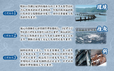 【冷凍】伊勢まぐろ（養殖本まぐろ）赤身・トロ身 計4個　約700g／鮪　本マグロ　トロ　三重県産