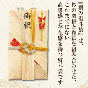 熨斗袋 赤 1袋 のし ドリームチーム