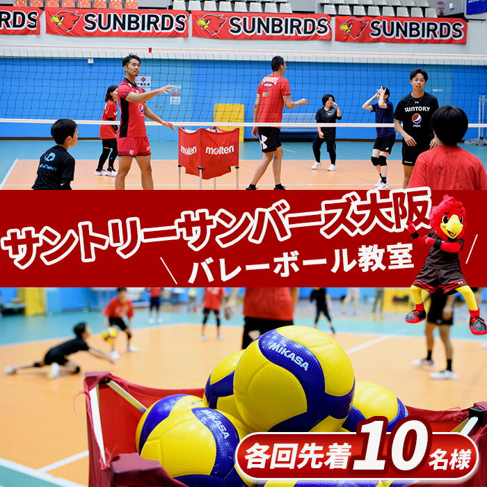 【ふるさと納税】＜数量限定・選べる開催日＞サントリーサンバーズ大阪 バレーボール教室日帰りプラン 男子バレーボール 選手 昼 夜 平日 一緒に練習 集合写真撮影 初心者でも安心 オリジナルグッズ クリアファイル【m26-04】【サントリーホールディングス】