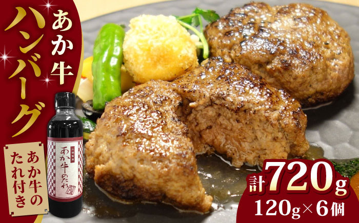 
            【日本ギフト大賞熊本賞受賞！】あか牛 100％ハンバーグ セット 120g×6個 冷凍 ハンバーグ 牛肉100％ 国産 個包装  タレ付き 熊本 赤牛 褐牛 あかうし 褐毛和種 肥後 冷凍 牛肉【有限会社 三協畜産】[YCG003] 
          