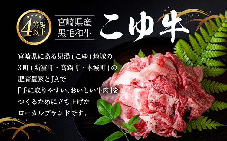 ［訳あり］宮崎黒毛和牛＜こゆ牛＞切り落とし 計1kg※90日以内に出荷【B67】
