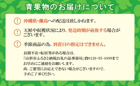 山形のぶどう シャインマスカット 1kg以上(2房)[10月中旬～11月中旬お届け] 【令和6年産先行予約】FU22-062